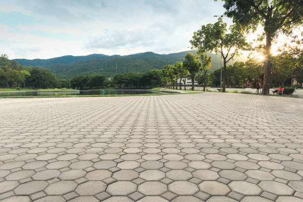 Best Residential Paver Driveway  in Hopewell, TN